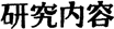 研究内容